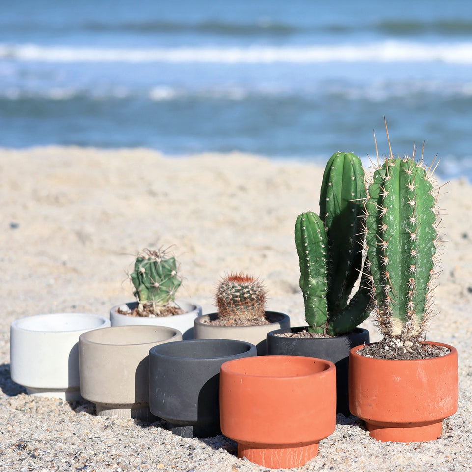 Concrete Pot - Sandy Earth