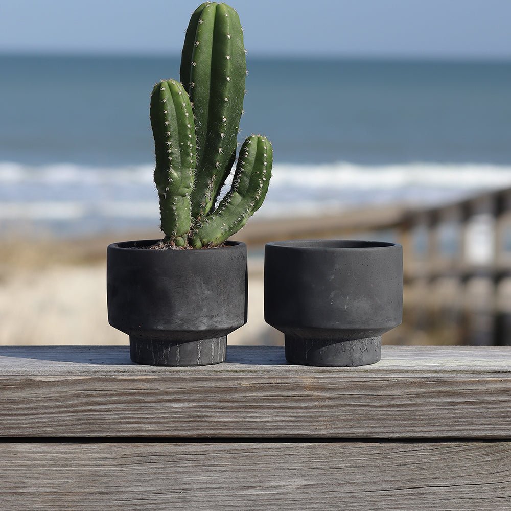 Concrete Pot - Charcoal Black - Cape Fear Cactus