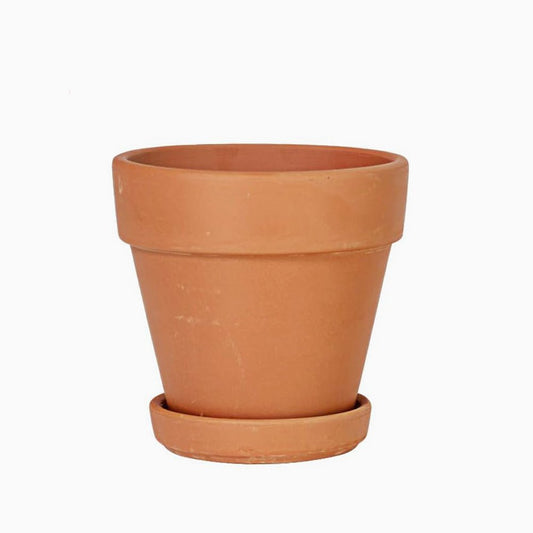 Clay Pot - Terra Cotta - Cape Fear Cactus